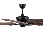 Air Series