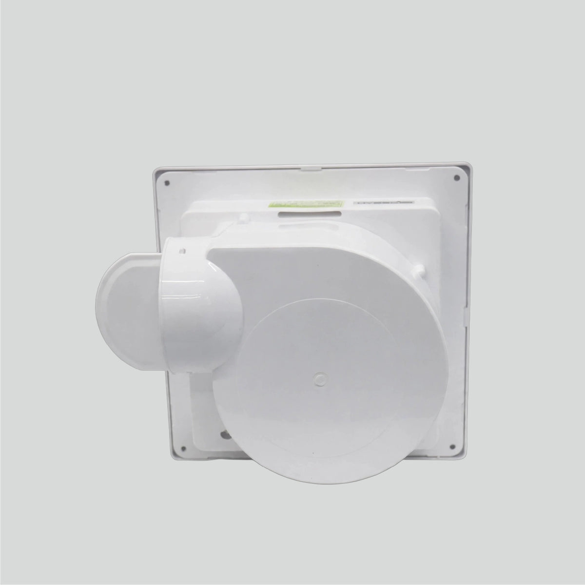Cruise Series - White - Back