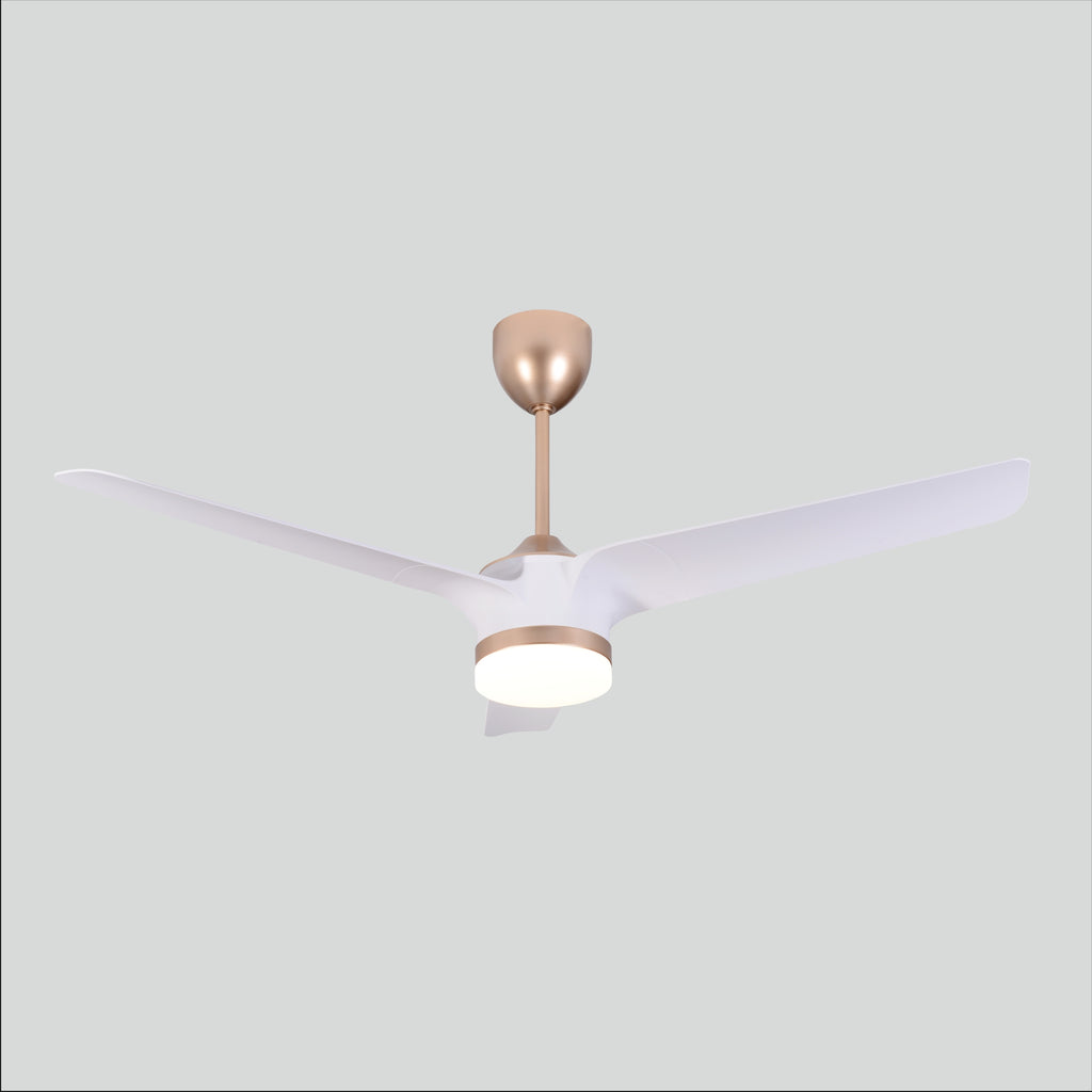 Elevate Series - Champagne Gold+White