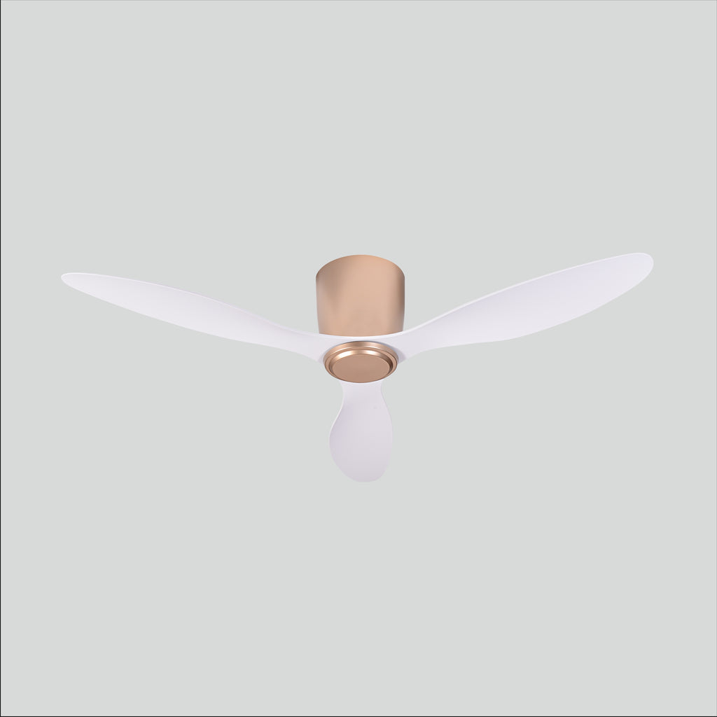 Ever Series - Champagne Gold+White