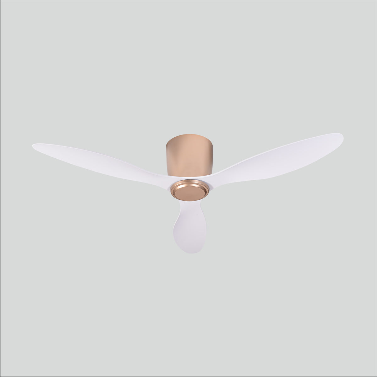 Ever Series - Champagne Gold+White
